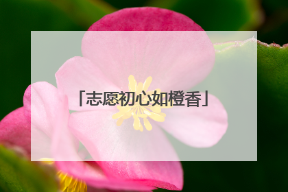 志愿初心如橙香
