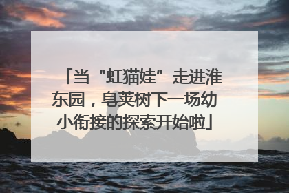 当“虹猫娃”走进淮东园，皂荚树下一场幼小衔接的探索开始啦