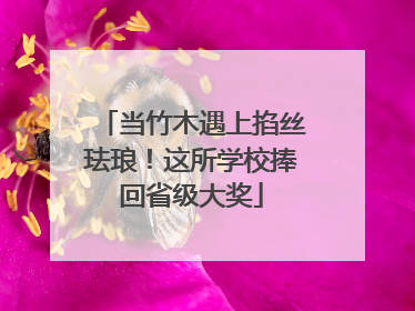 当竹木遇上掐丝珐琅！这所学校捧回省级大奖