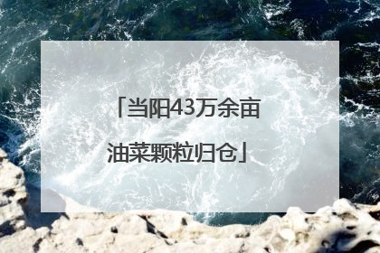 当阳43万余亩油菜颗粒归仓