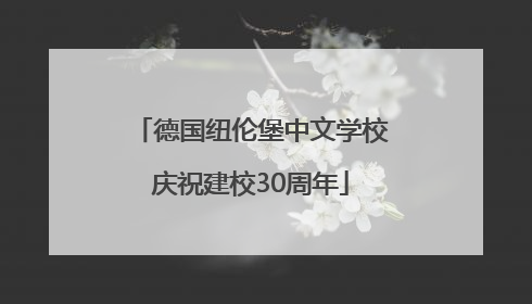 德国纽伦堡中文学校庆祝建校30周年