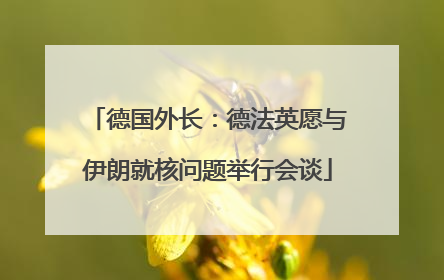 德国外长：德法英愿与伊朗就核问题举行会谈