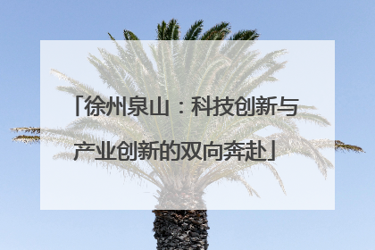 徐州泉山：科技创新与产业创新的双向奔赴