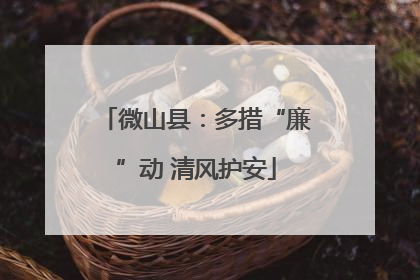 微山县：多措“廉”动 清风护安