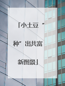 小土豆“种”出共富新图景
