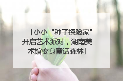 小小“种子探险家”开启艺术派对，湖南美术馆变身童话森林