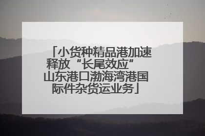 小货种精品港加速释放“长尾效应” 山东港口渤海湾港国际件杂货运业务