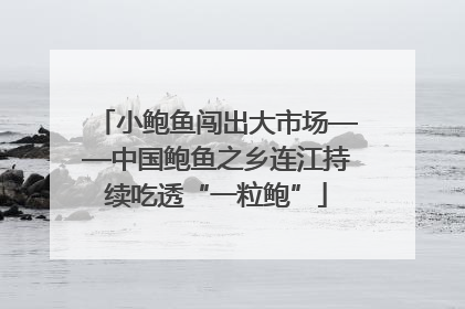 小鲍鱼闯出大市场——中国鲍鱼之乡连江持续吃透“一粒鲍”