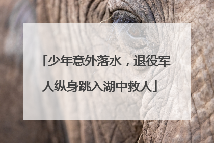 少年意外落水，退役军人纵身跳入湖中救人