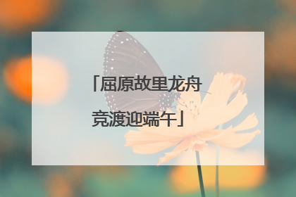 屈原故里龙舟竞渡迎端午