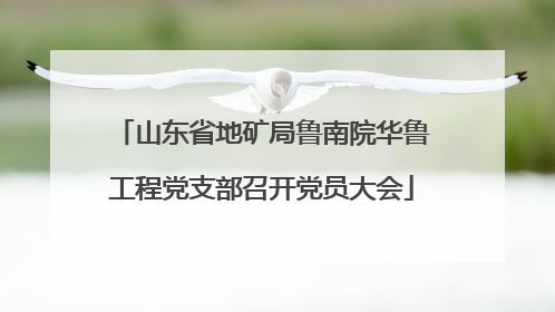 山东省地矿局鲁南院华鲁工程党支部召开党员大会