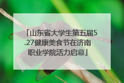 山东省大学生第五届5.27健康美食节在济南职业学院活力启幕