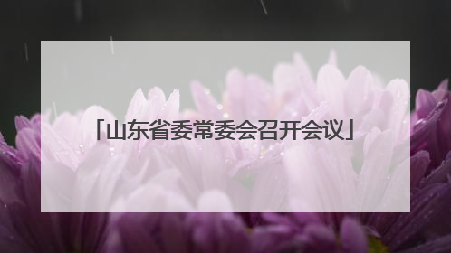 山东省委常委会召开会议