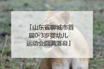 山东省聊城市首届0-3岁婴幼儿运动会圆满落幕