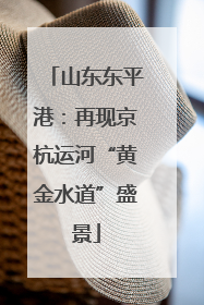 山东东平港：再现京杭运河“黄金水道”盛景