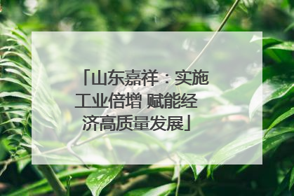 山东嘉祥：实施工业倍增 赋能经济高质量发展