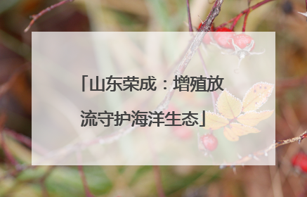 山东荣成：增殖放流守护海洋生态