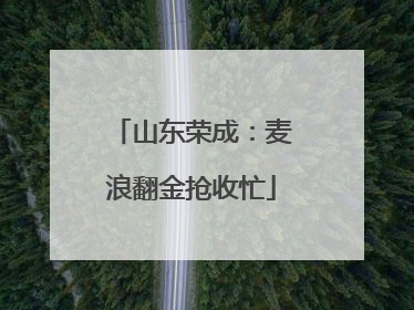 山东荣成：麦浪翻金抢收忙