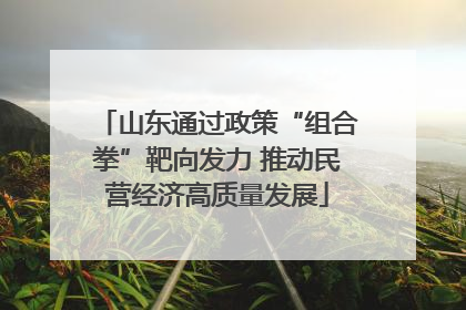 山东通过政策“组合拳”靶向发力 推动民营经济高质量发展
