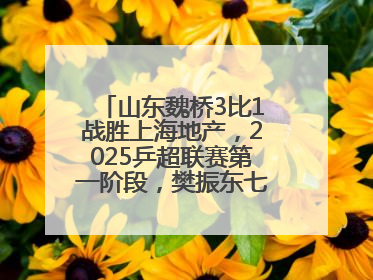 山东魏桥3比1战胜上海地产，2025乒超联赛第一阶段，樊振东七战七胜收官