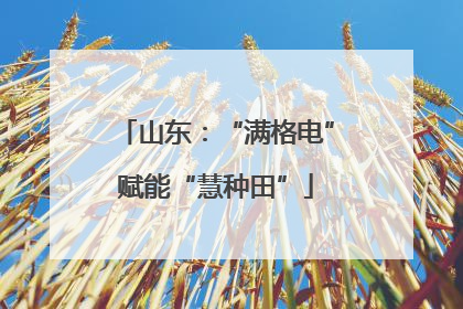 山东：“满格电”赋能“慧种田”