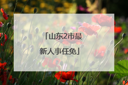山东2市最新人事任免