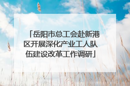 岳阳市总工会赴新港区开展深化产业工人队伍建设改革工作调研