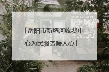 岳阳市新墙河收费中心为民服务暖人心