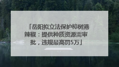 岳阳拟立法保护樟树港辣椒：提供种质资源需审批，违规最高罚5万