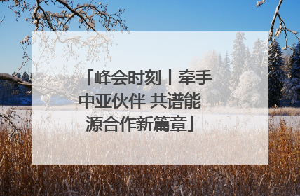 峰会时刻丨牵手中亚伙伴 共谱能源合作新篇章