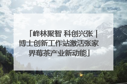 峰林聚智 科创兴张｜博士创新工作站激活张家界莓茶产业新动能
