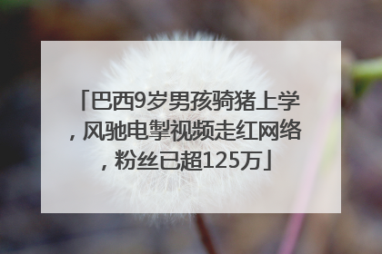 巴西9岁男孩骑猪上学，风驰电掣视频走红网络，粉丝已超125万