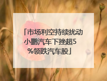 市场利空持续扰动 小鹏汽车下挫超5%领跌汽车股