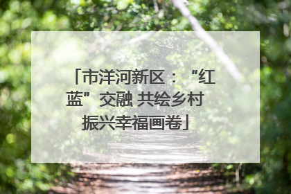 市洋河新区：“红蓝”交融 共绘乡村振兴幸福画卷