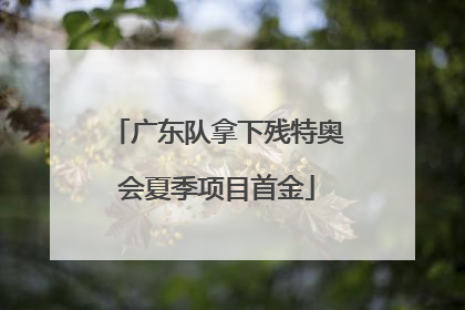 广东队拿下残特奥会夏季项目首金