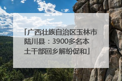 广西壮族自治区玉林市陆川县：3900多名本土干部回乡解纷促和
