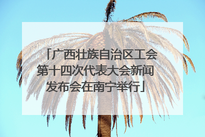 广西壮族自治区工会第十四次代表大会新闻发布会在南宁举行