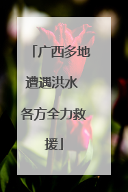 广西多地遭遇洪水 各方全力救援