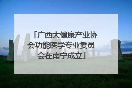 广西大健康产业协会功能医学专业委员会在南宁成立