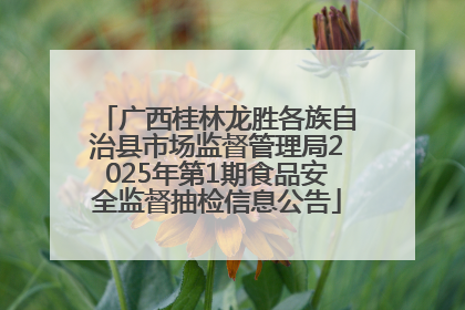 广西桂林龙胜各族自治县市场监督管理局2025年第1期食品安全监督抽检信息公告