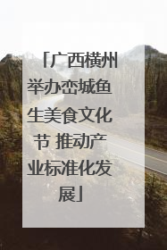 广西横州举办峦城鱼生美食文化节 推动产业标准化发展