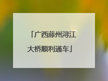 广西藤州浔江大桥顺利通车