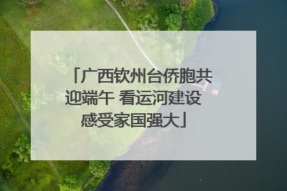 广西钦州台侨胞共迎端午 看运河建设感受家国强大