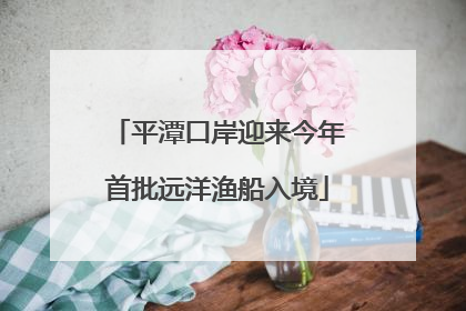 平潭口岸迎来今年首批远洋渔船入境