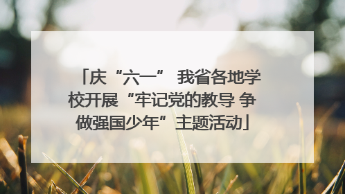 庆“六一” 我省各地学校开展“牢记党的教导 争做强国少年”主题活动