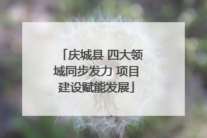 庆城县 四大领域同步发力 项目建设赋能发展