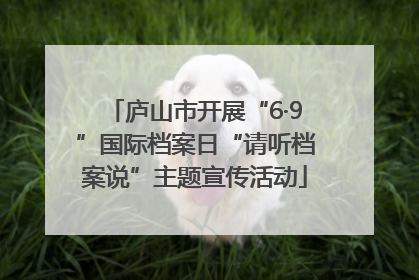 庐山市开展“6·9”国际档案日“请听档案说”主题宣传活动