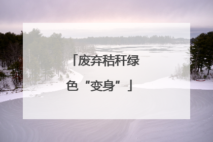 废弃秸秆绿色“变身”