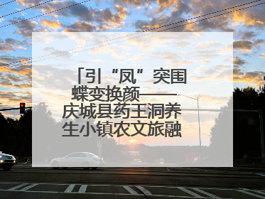 引“凤”突围 蝶变换颜——庆城县药王洞养生小镇农文旅融合发展纪实
