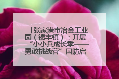 张家港市冶金工业园（锦丰镇）：开展“小小兵成长季——勇敢挑战营”国防启蒙教育活动